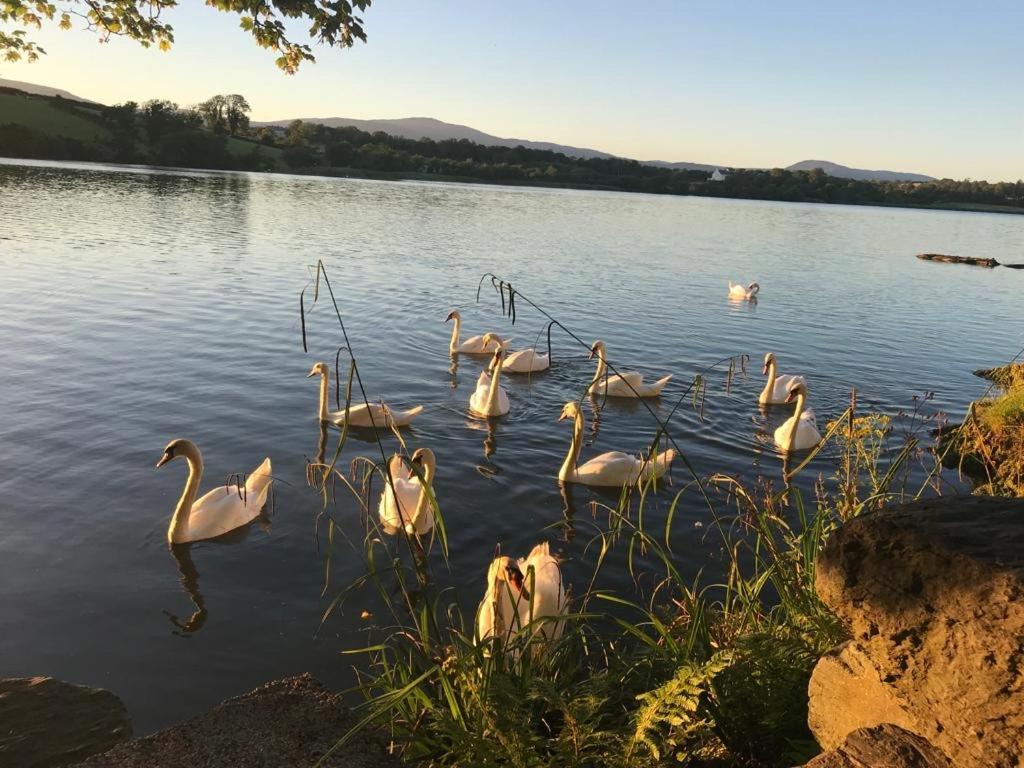Lakeside Lookout Bantry Cork Ngoại thất bức ảnh